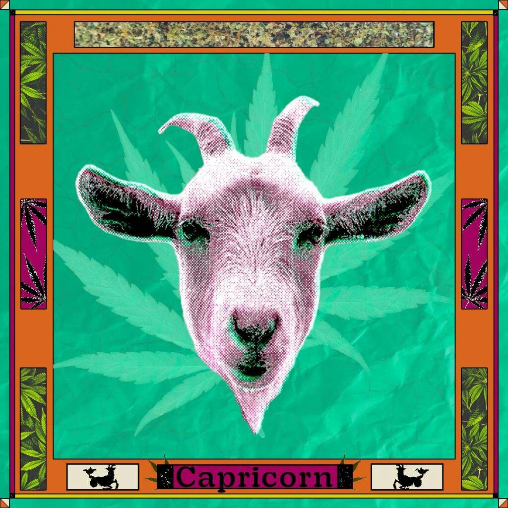A horned goat and weed leaves on a green background with orange border and the word "Capricorn"